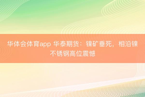 华体会体育app 华泰期货：镍矿垂死，相沿镍不锈钢高位震憾