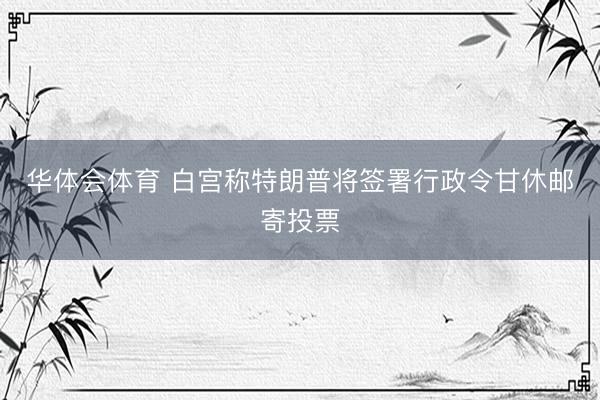 华体会体育 白宫称特朗普将签署行政令甘休邮寄投票